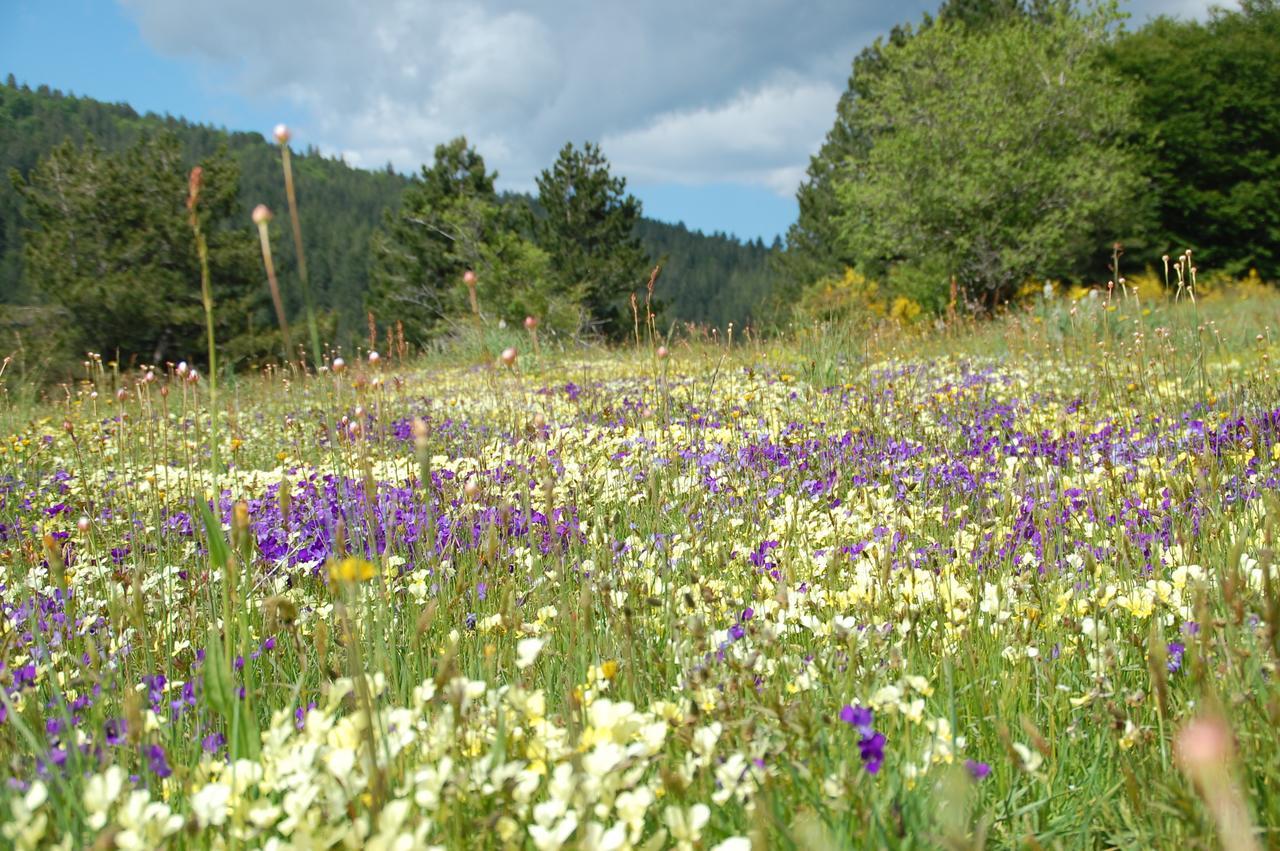 Rifugio Casello Margherita كاميغلياتيلو سيلانو المظهر الخارجي الصورة