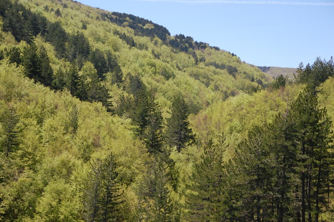 Rifugio Casello Margherita كاميغلياتيلو سيلانو المظهر الخارجي الصورة